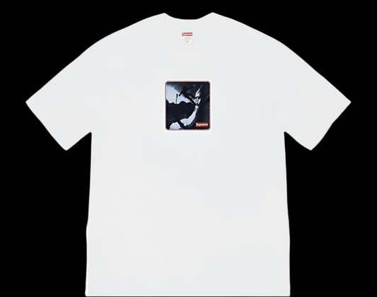 SUPREME SHADOW T T-shirt FALL/WINTER 2021
